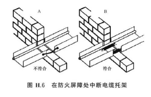 皮尔磁新闻.jpeg