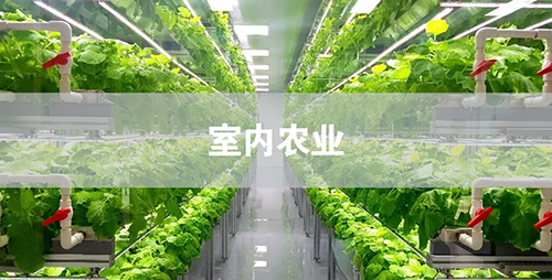 image3-3.png