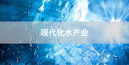 image5-3.png