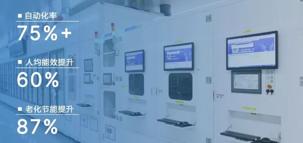 1775739074243103.jpg 5.jpg